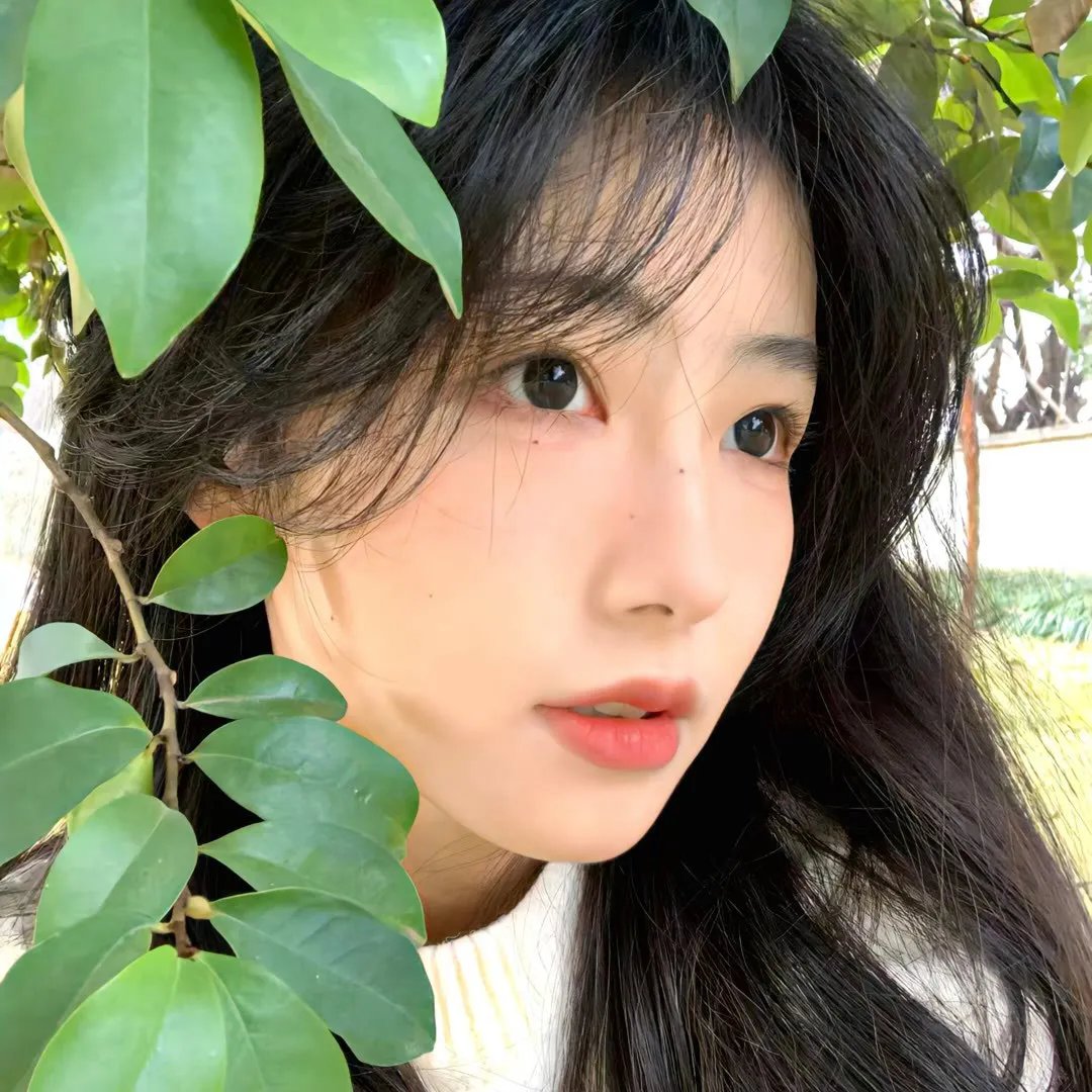 安吉拉的灰烬